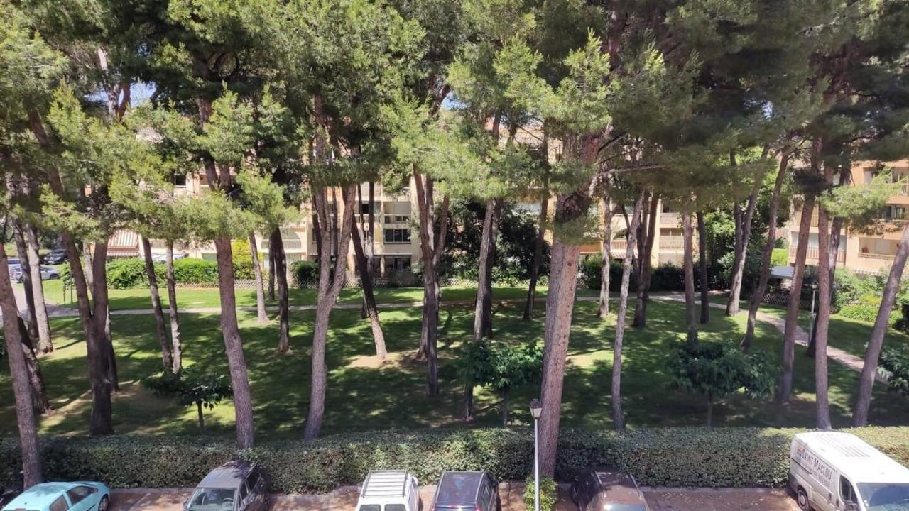Bel Appartement Avec Piscine Proche Des Plages Six-Fours-les-Plages Dış mekan fotoğraf