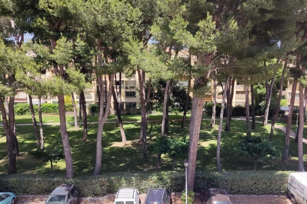 Bel Appartement Avec Piscine Proche Des Plages Six-Fours-les-Plages Dış mekan fotoğraf